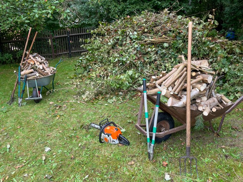 Clearing Debris After Tree Removal