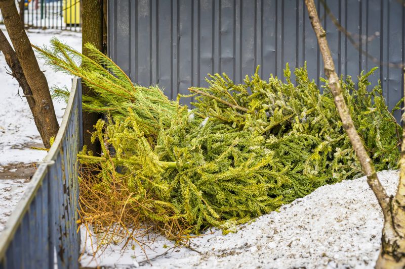 Cleared Property Post-Removal